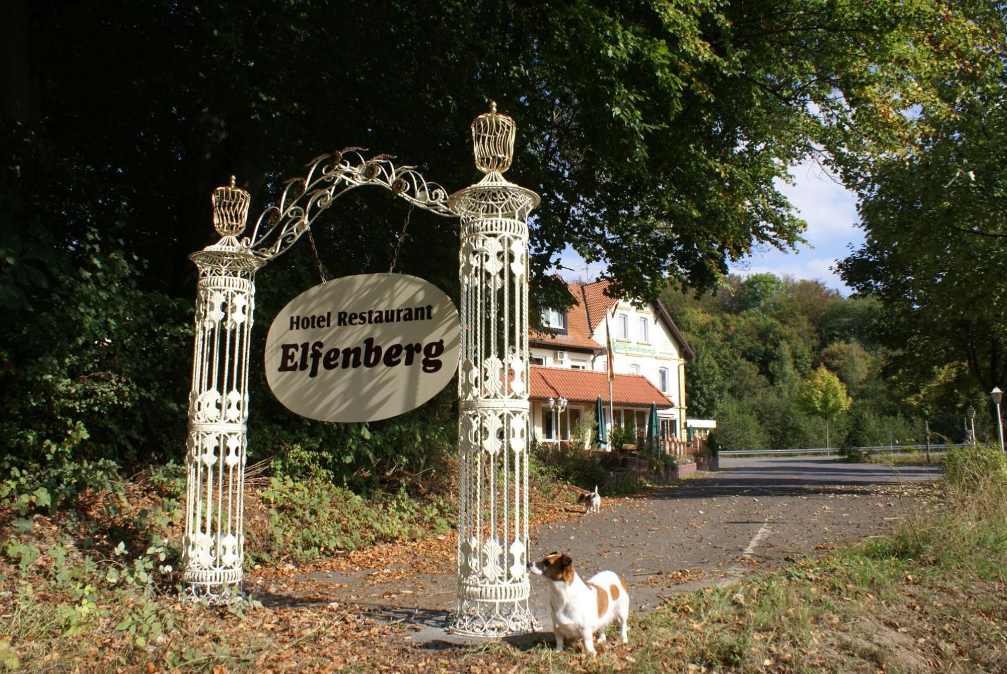 Hotel Elfenberg Schieder-Schwalenberg المظهر الخارجي الصورة